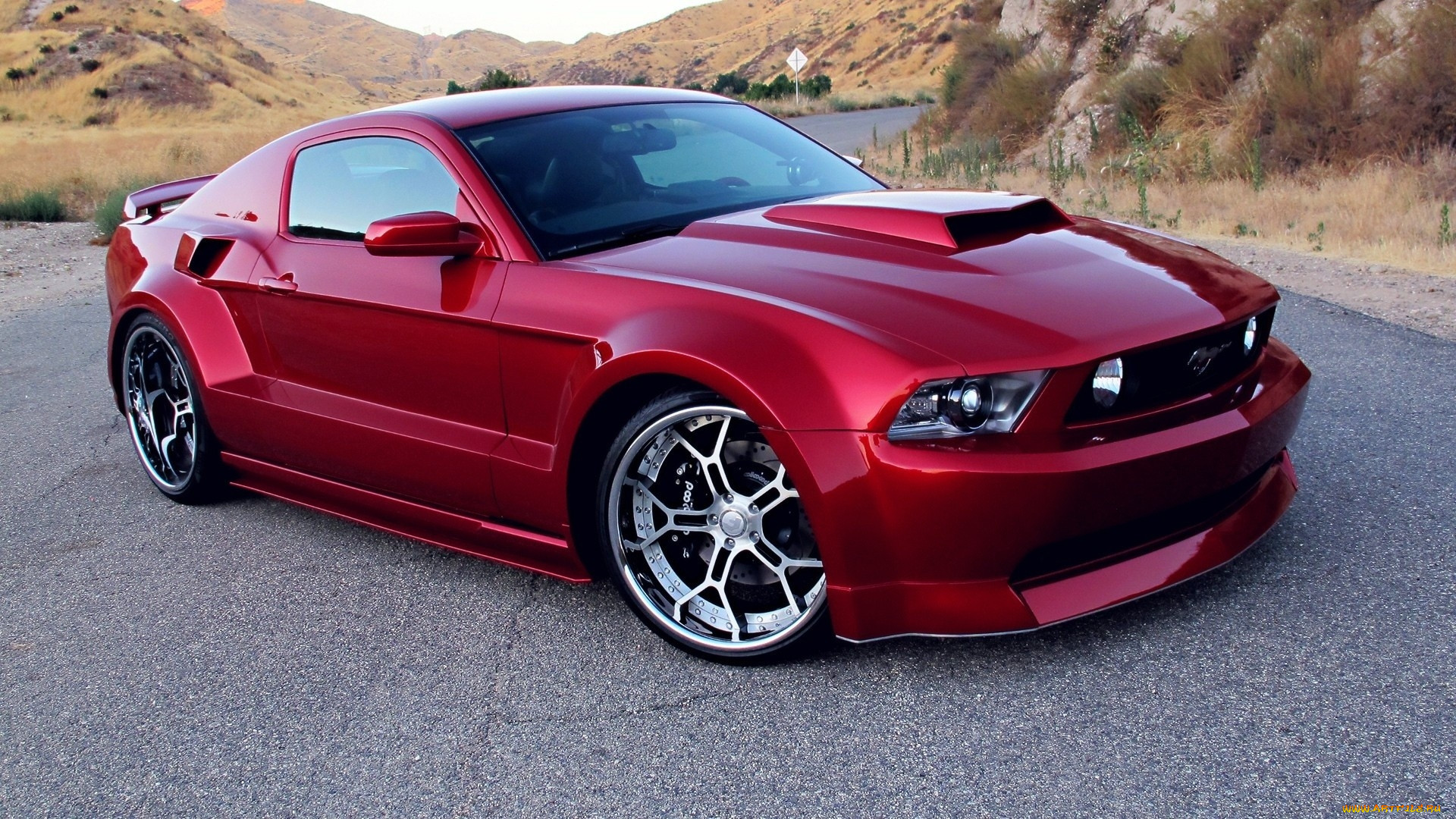 , mustang, , , , , , 